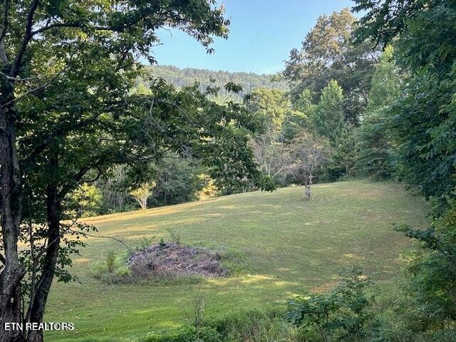 239 Miller Road Pikeville, TN 37367 - Photo 9 of 29 a view of a field with an tree