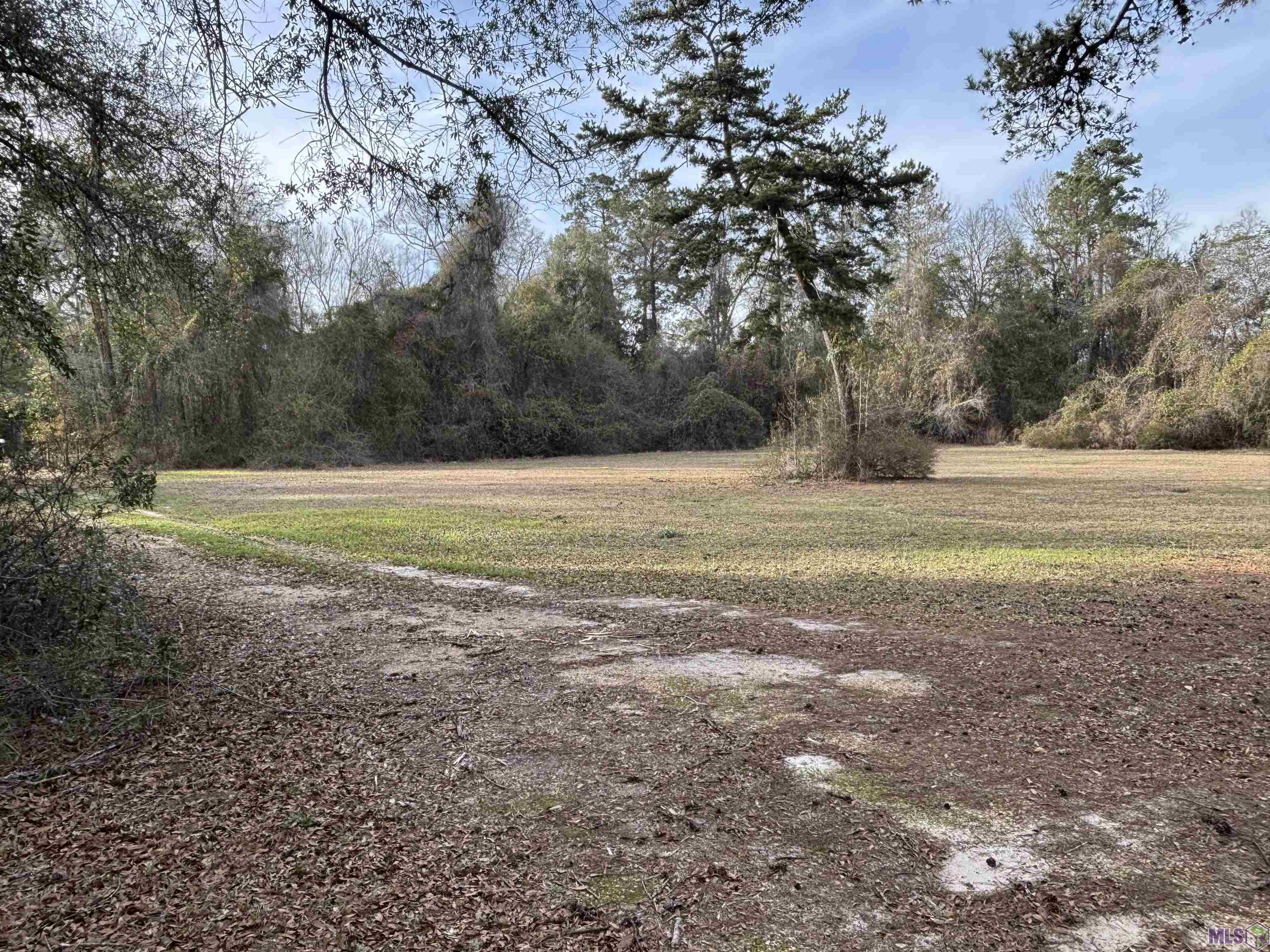 17282 McGehee Road Bogalusa, LA 70427 - Photo 25 of 34