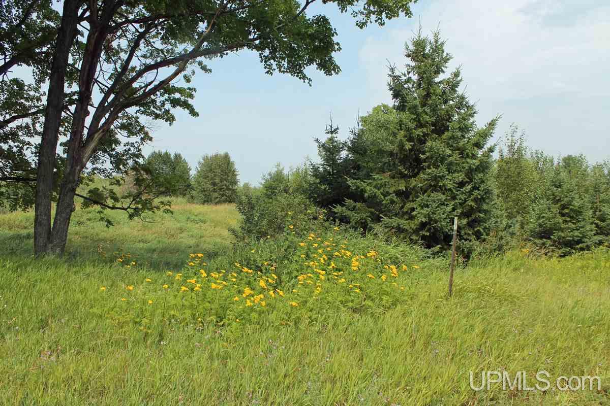 N2506 East T Road Trenary, MI 49891 - Photo 11 of 29 Gallery Image 11