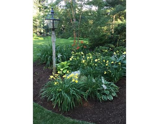 54 Pinecroft Road Weston, MA 02493 - Photo 29 of 30 a close up of a plant in a garden