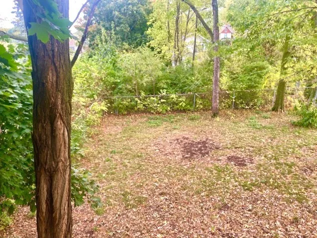 $114,900 | 802 South Peoria Avenue, Dixon, IL 61021