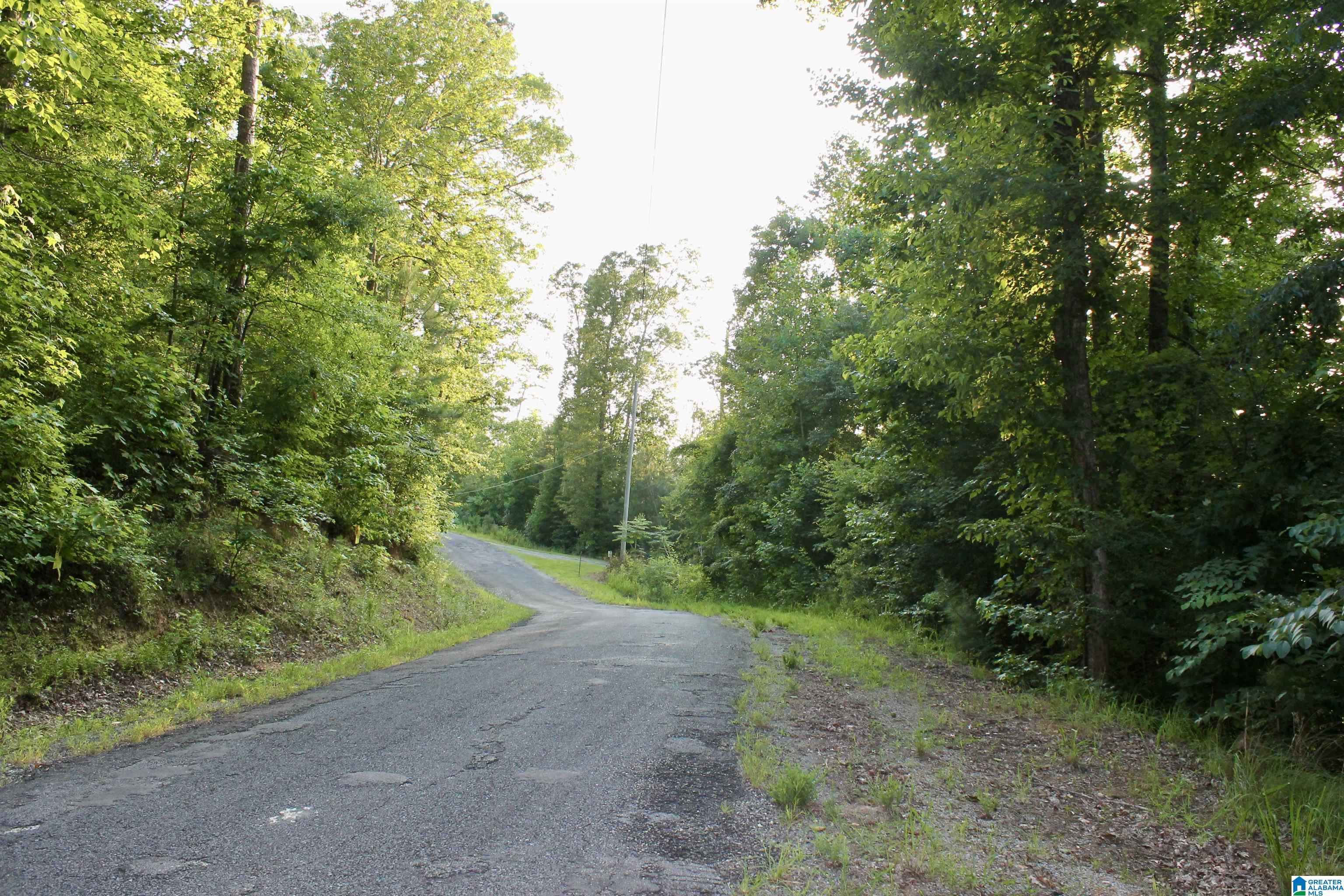 0 Waldrop Road Ashville, AL 35953 - Photo 2 of 5