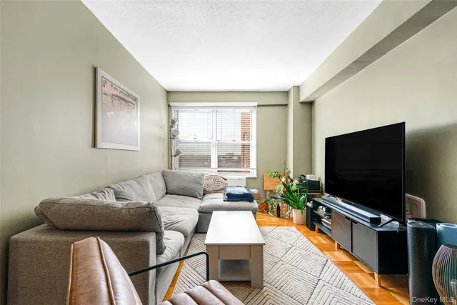 a living room with furniture potted plant and a flat screen tv