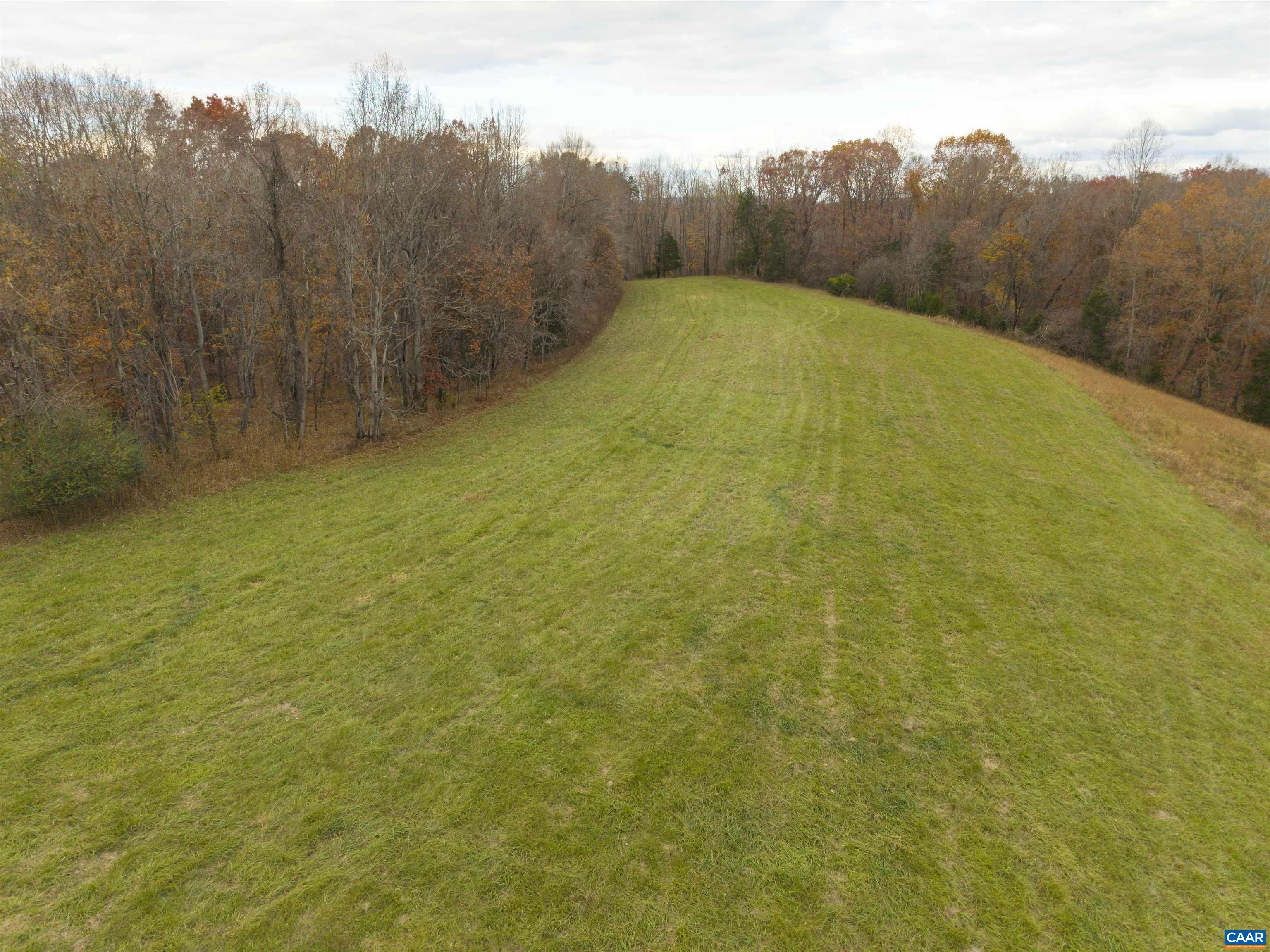Lot 1 Jim Lane Road Scottsville, VA 24590 - Photo 5 of 7 a view of a yard with trees