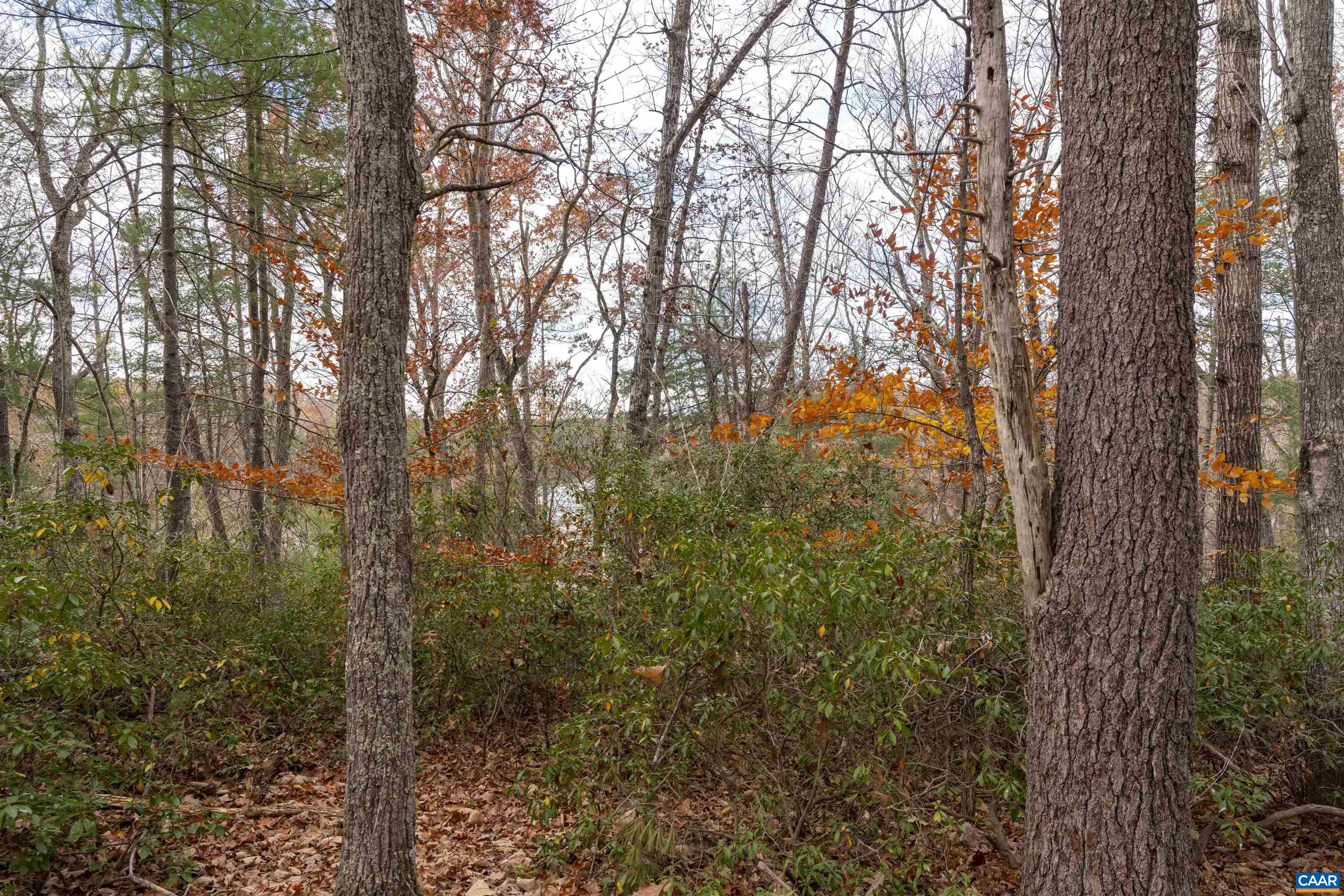 Lot 1 Jim Lane Road Scottsville, VA 24590 - Photo 6 of 7 a view of forest
