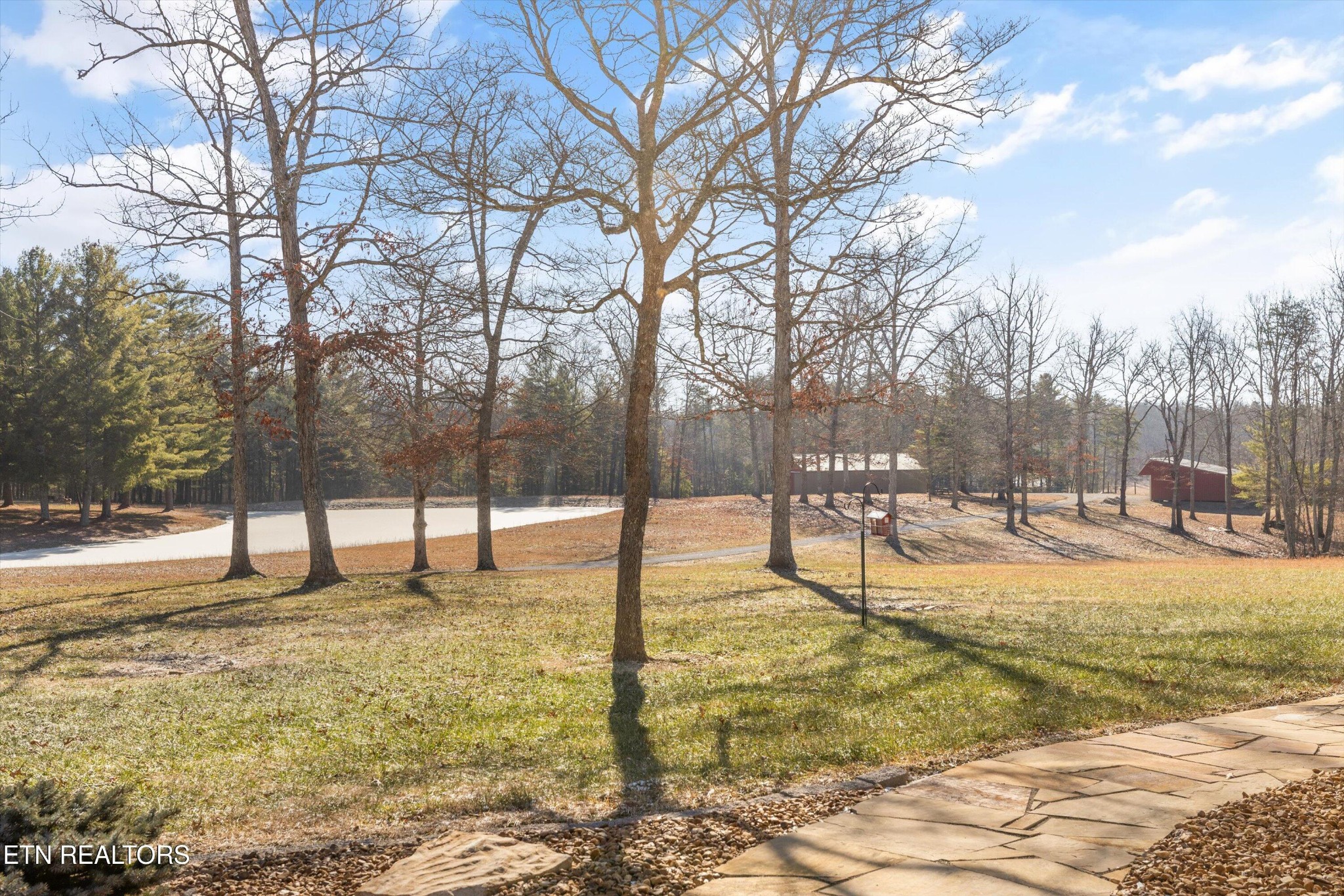 1752 Hillendale Road Crossville, TN 38572 - Photo 47 of 60 a view of a yard with a tree