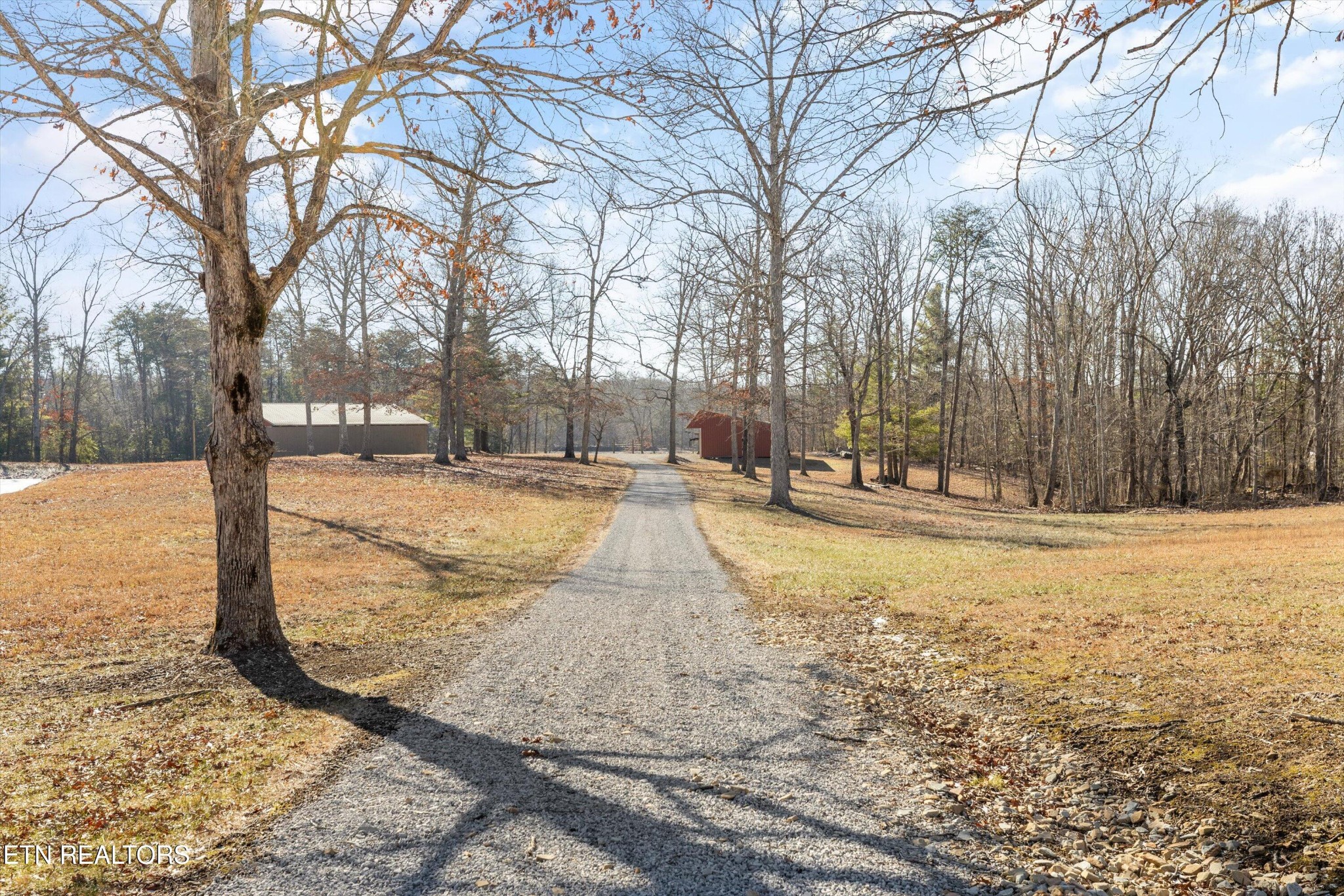 1752 Hillendale Road Crossville, TN 38572 - Photo 48 of 60 a view of yard with trees