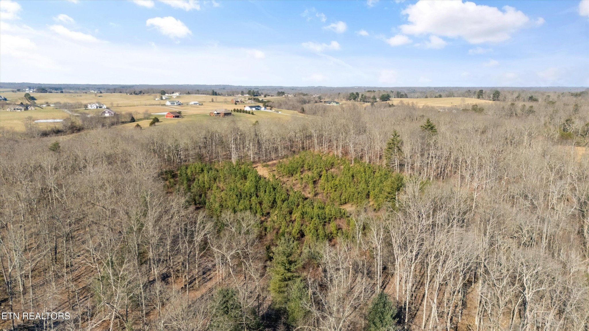 1752 Hillendale Road Crossville, TN 38572 - Photo 49 of 60