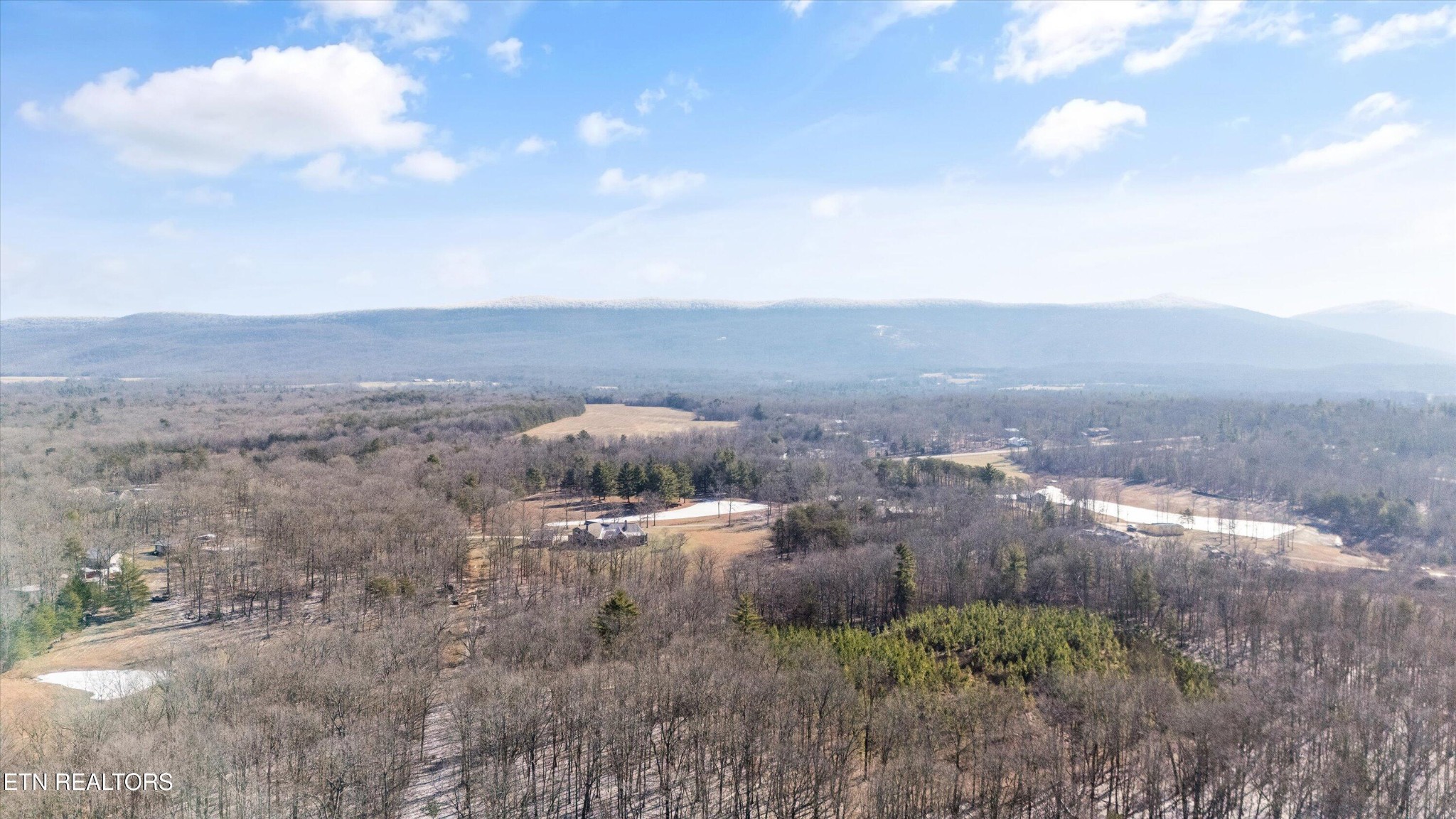 1752 Hillendale Road Crossville, TN 38572 - Photo 52 of 60 a view of a dry yard with green space