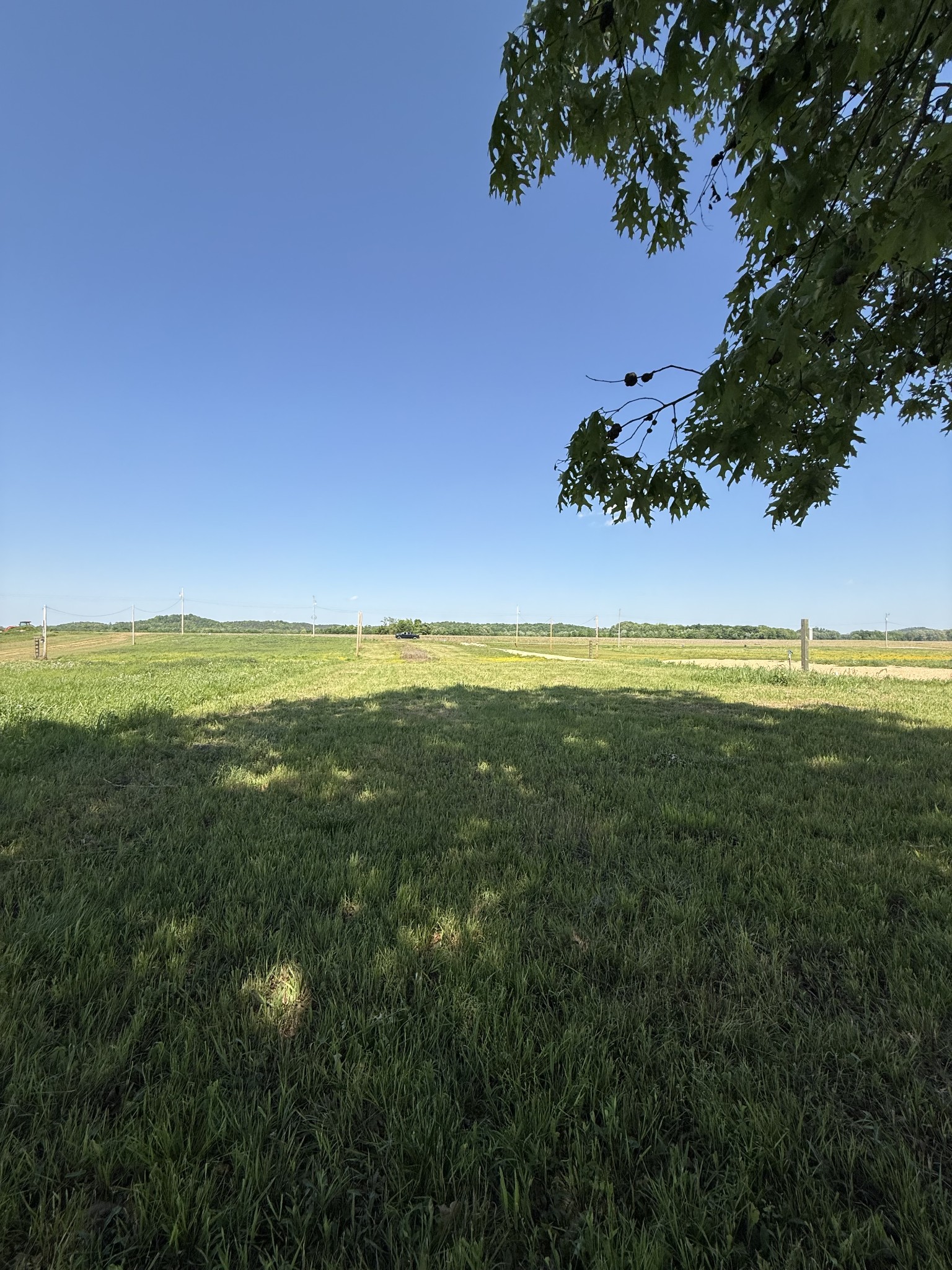 461 Hardin Btm Road Clifton, TN 38425 - Photo 11 of 30