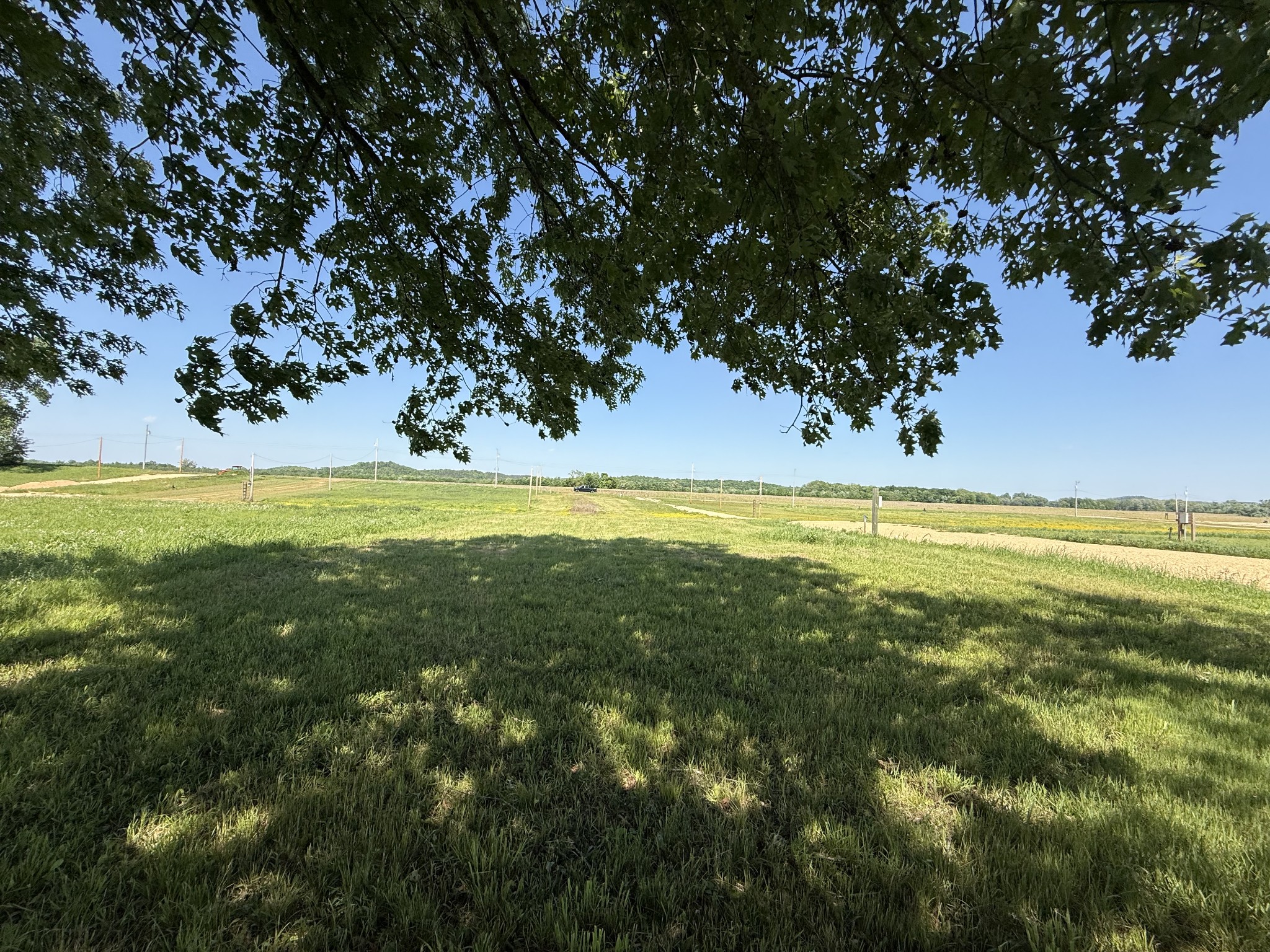 461 Hardin Btm Road Clifton, TN 38425 - Photo 12 of 30