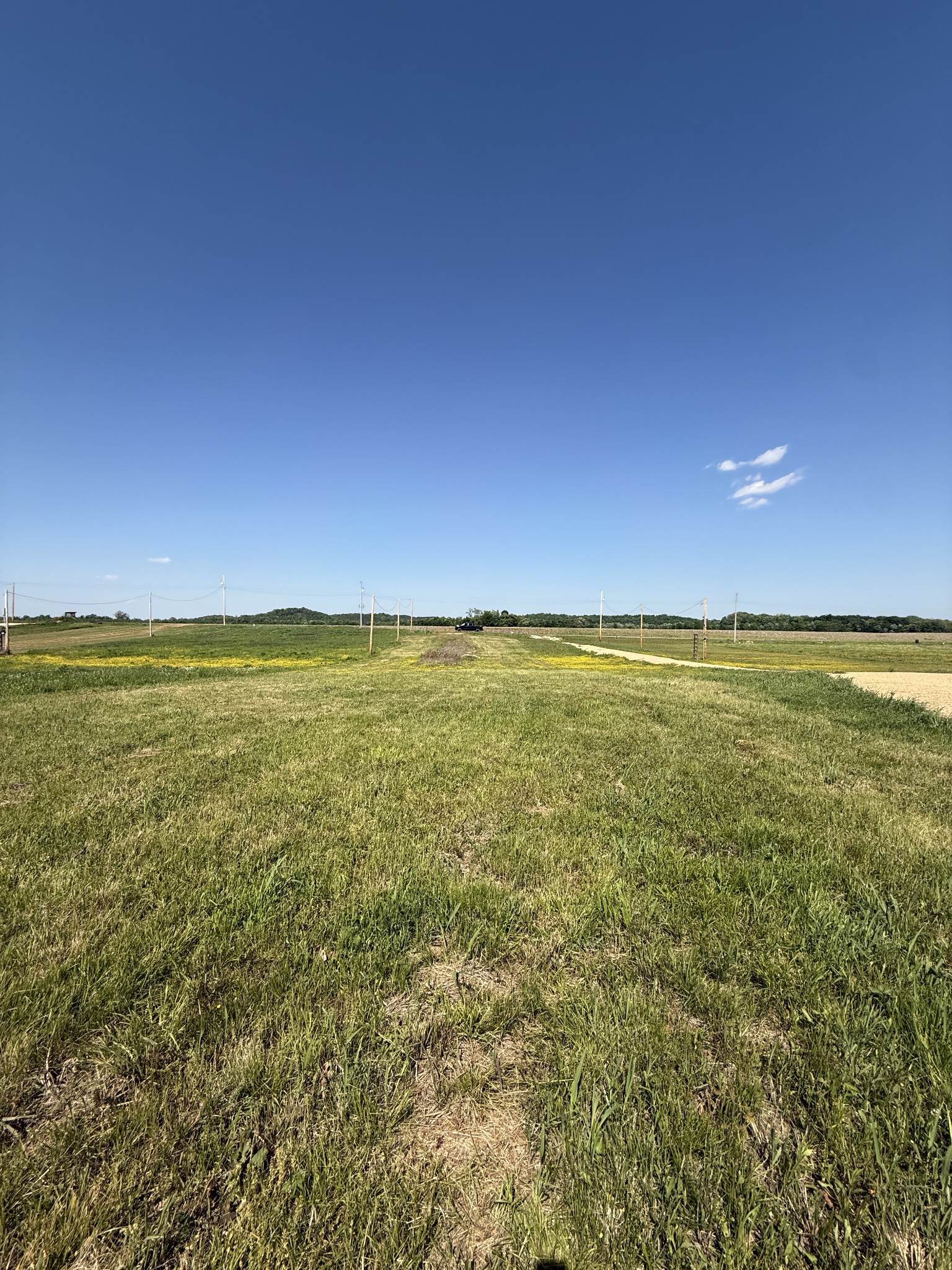 461 Hardin Btm Road Clifton, TN 38425 - Photo 14 of 30