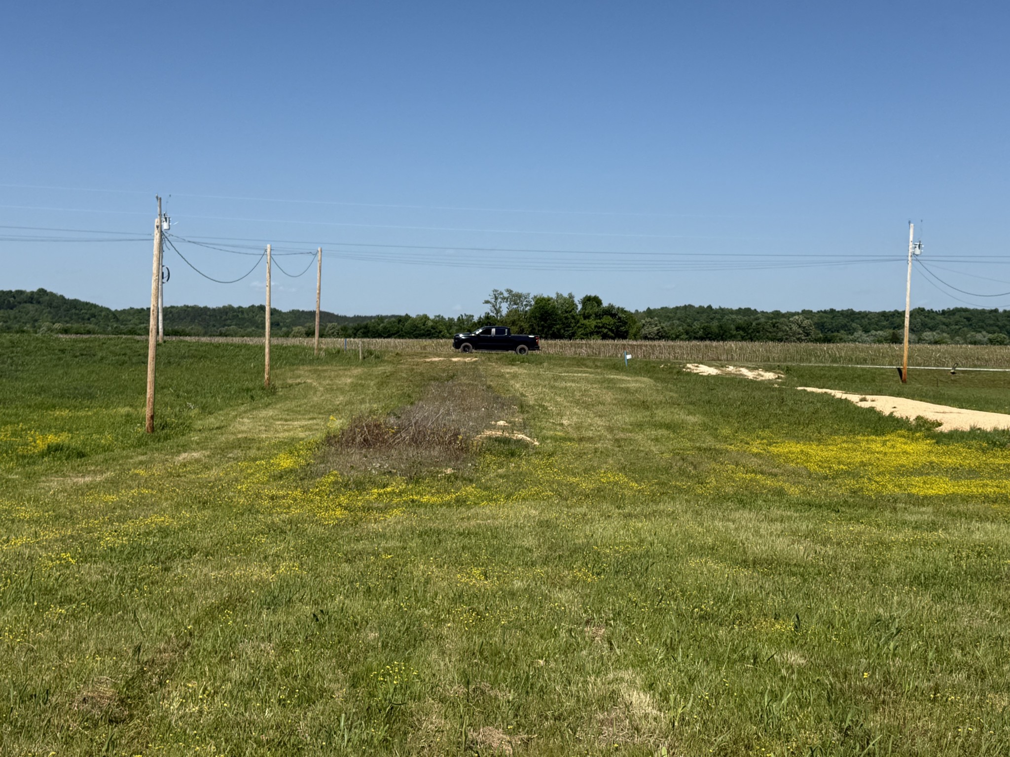 461 Hardin Btm Road Clifton, TN 38425 - Photo 14 of 29