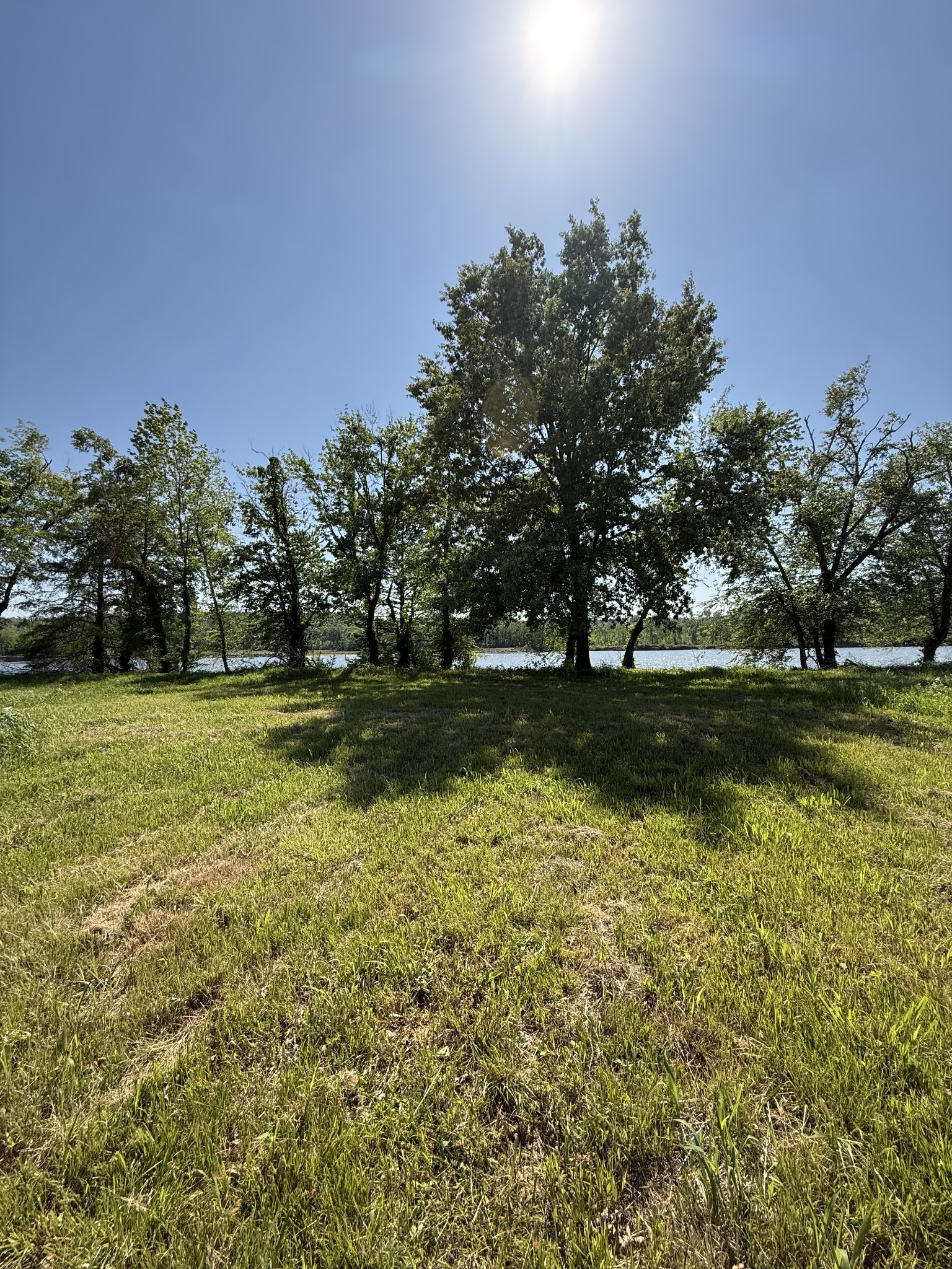 461 Hardin Btm Road Clifton, TN 38425 - Photo 16 of 30