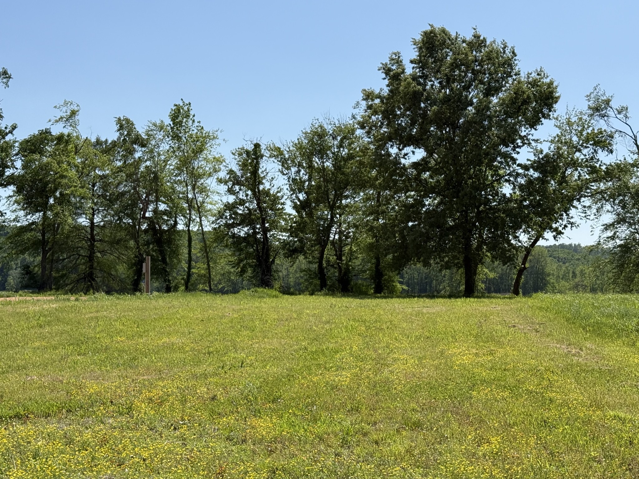 461 Hardin Btm Road Clifton, TN 38425 - Photo 19 of 29
