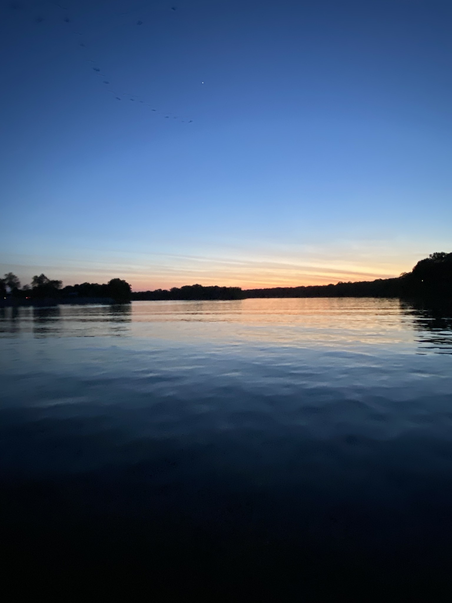 461 Hardin Btm Road Clifton, TN 38425 - Photo 25 of 30