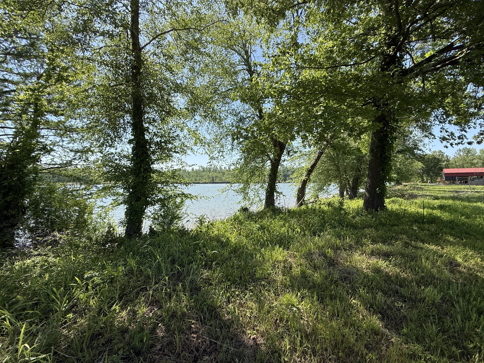 461 Hardin Btm Road Clifton, TN 38425 - Photo 3 of 29