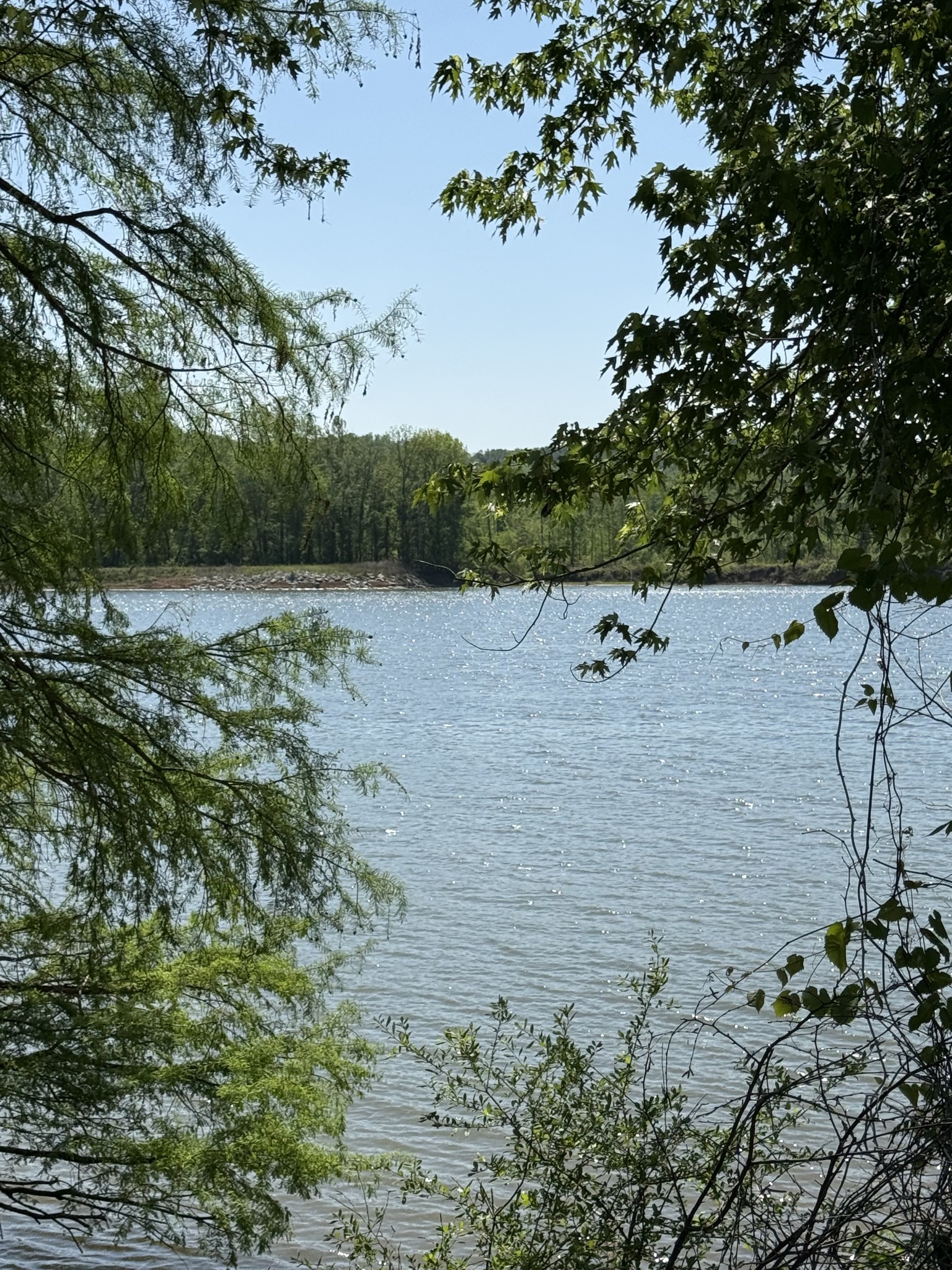 461 Hardin Btm Road Clifton, TN 38425 - Photo 5 of 30