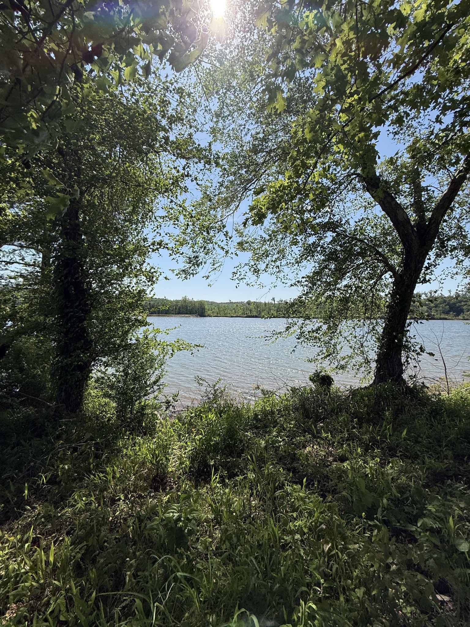 461 Hardin Btm Road Clifton, TN 38425 - Photo 6 of 30