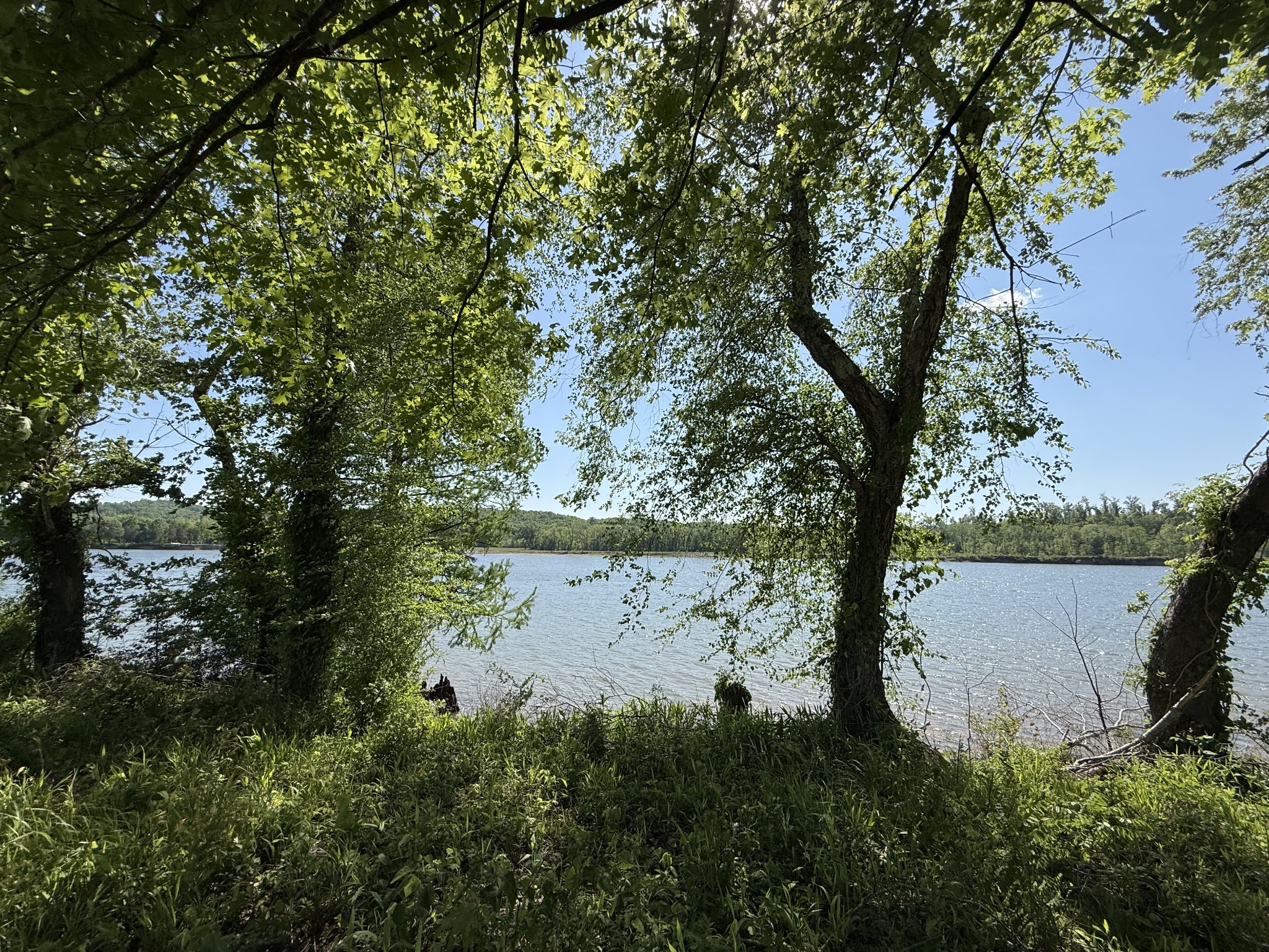 461 Hardin Btm Road Clifton, TN 38425 - Photo 7 of 30