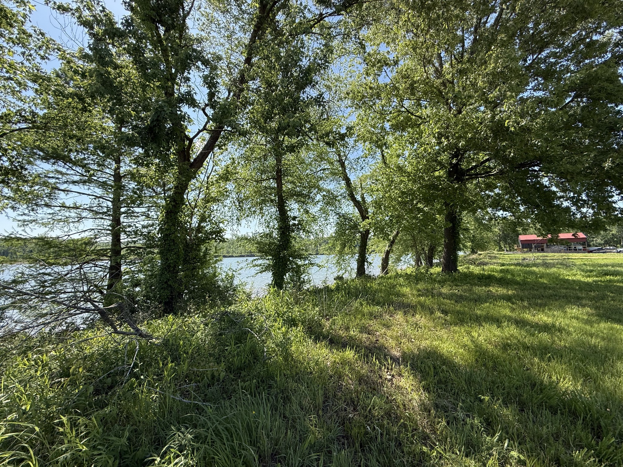 461 Hardin Btm Road Clifton, TN 38425 - Photo 8 of 30