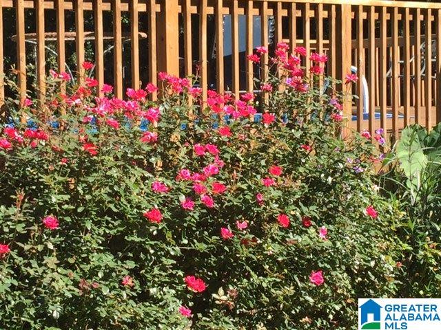 1091 Butler Road Alabaster, AL 35007 - Photo 11 of 45