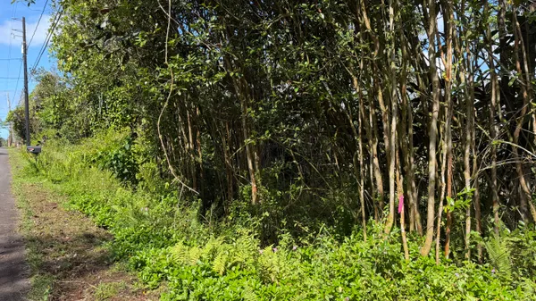 $32,000 | 28 Kupono Street, Pahoa, HI 96778