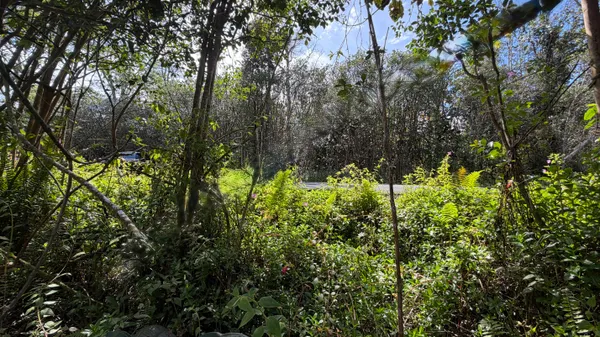 $32,000 | 28 Kupono Street, Pahoa, HI 96778