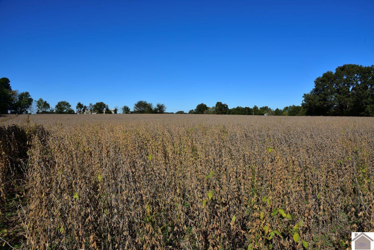 0 Kirksey Road Murray, KY 42071 - Photo 25 of 31 Photo 25
