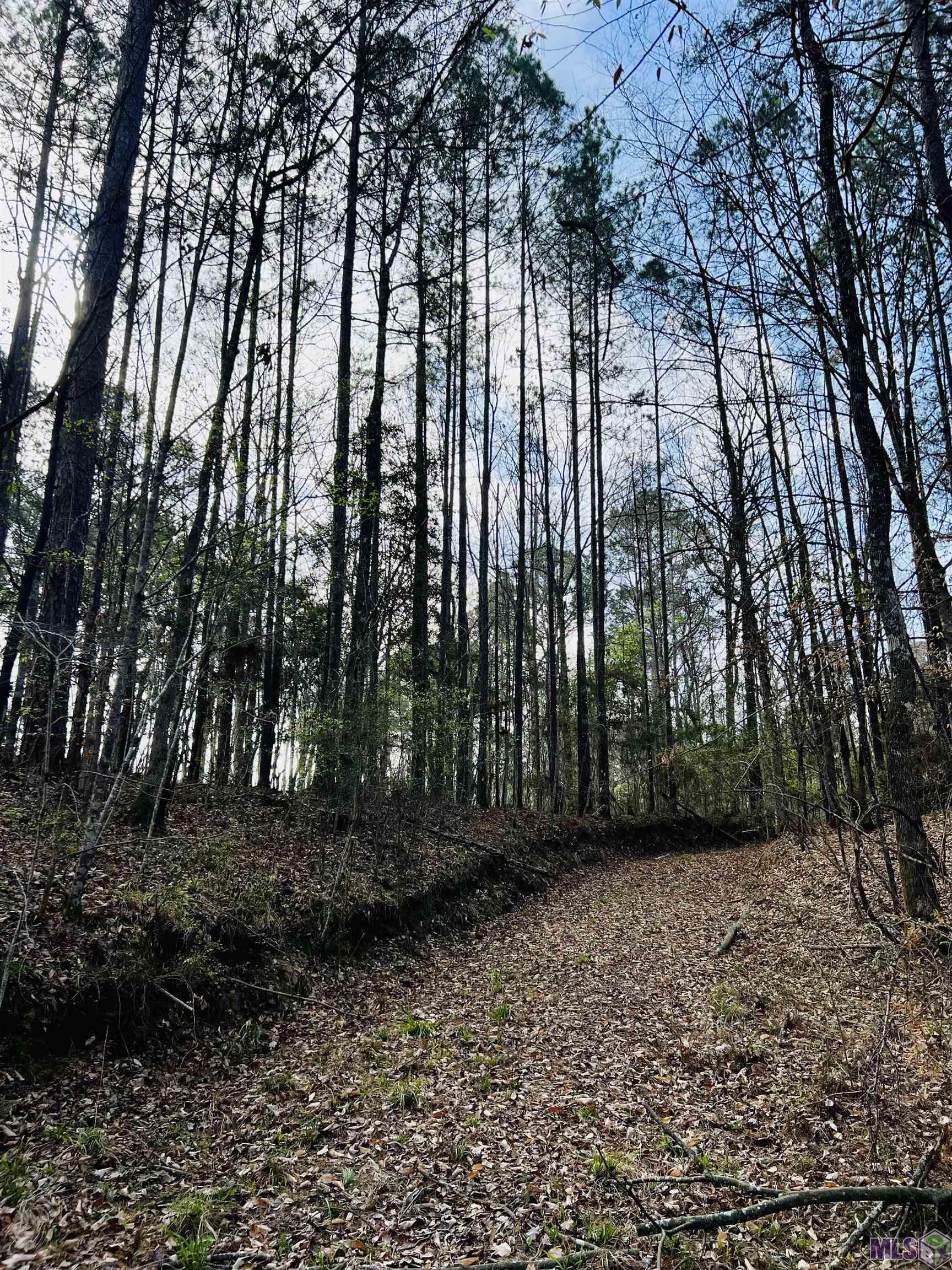 15397 Rogers Road St. Francisville, LA 70775 - Photo 1 of 16