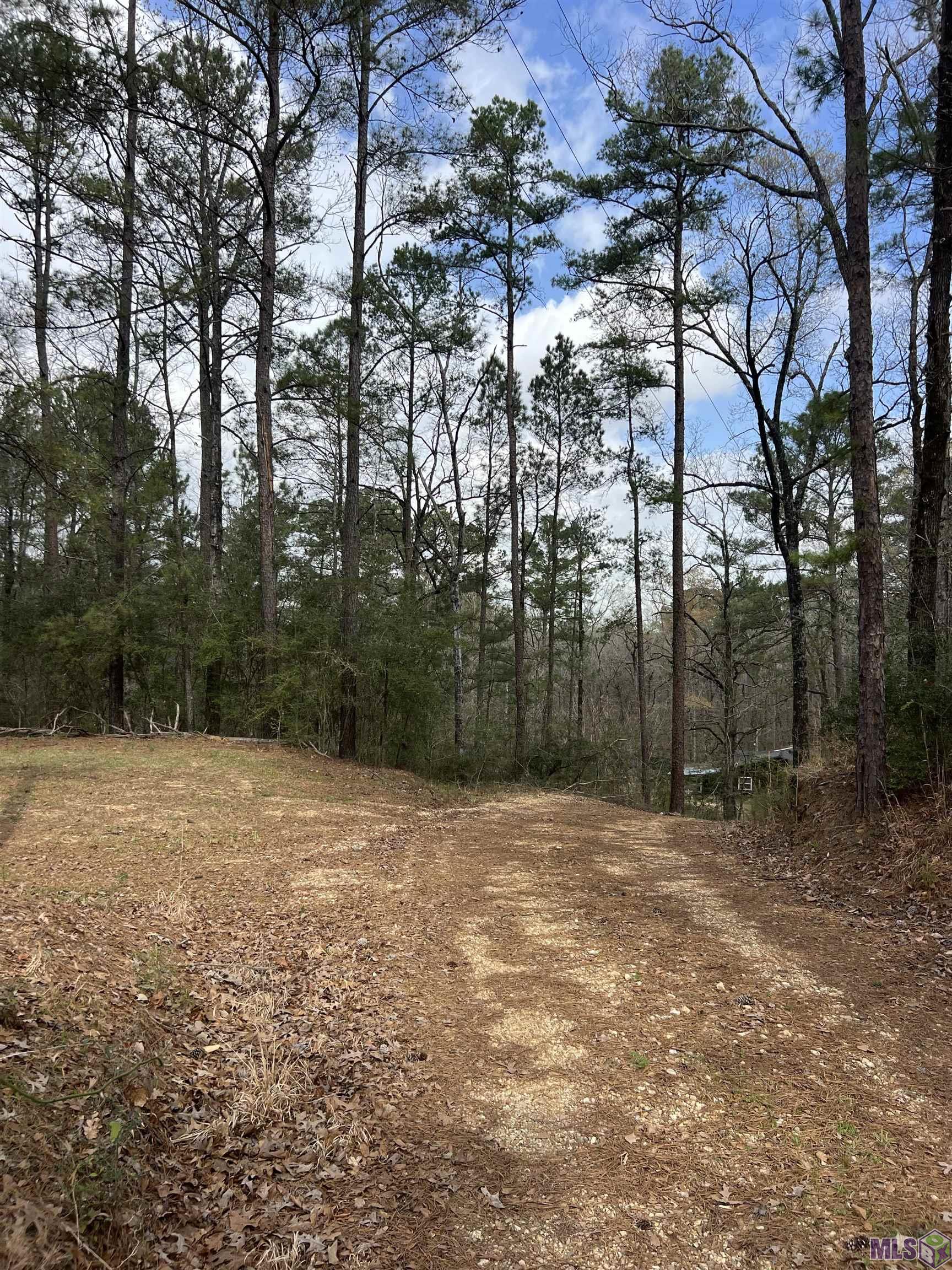 15397 Rogers Road St. Francisville, LA 70775 - Photo 16 of 16