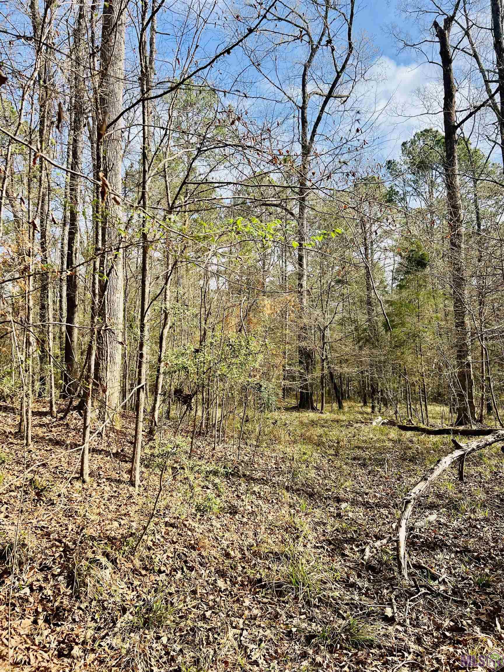 15397 Rogers Road St. Francisville, LA 70775 - Photo 3 of 16
