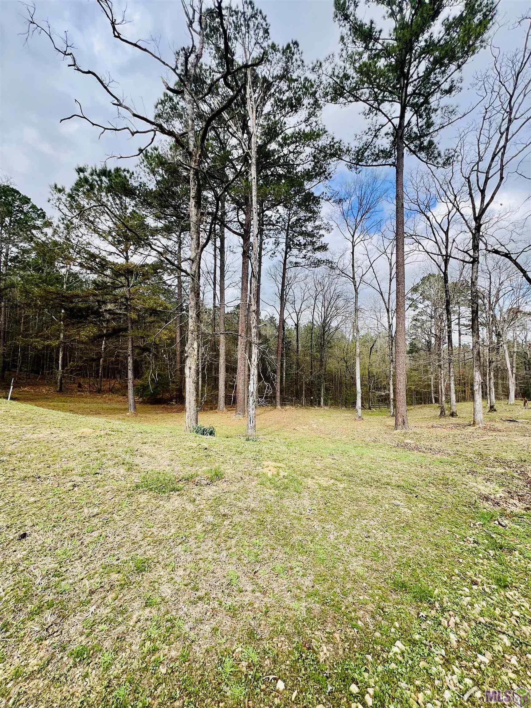 15397 Rogers Road St. Francisville, LA 70775 - Photo 5 of 16