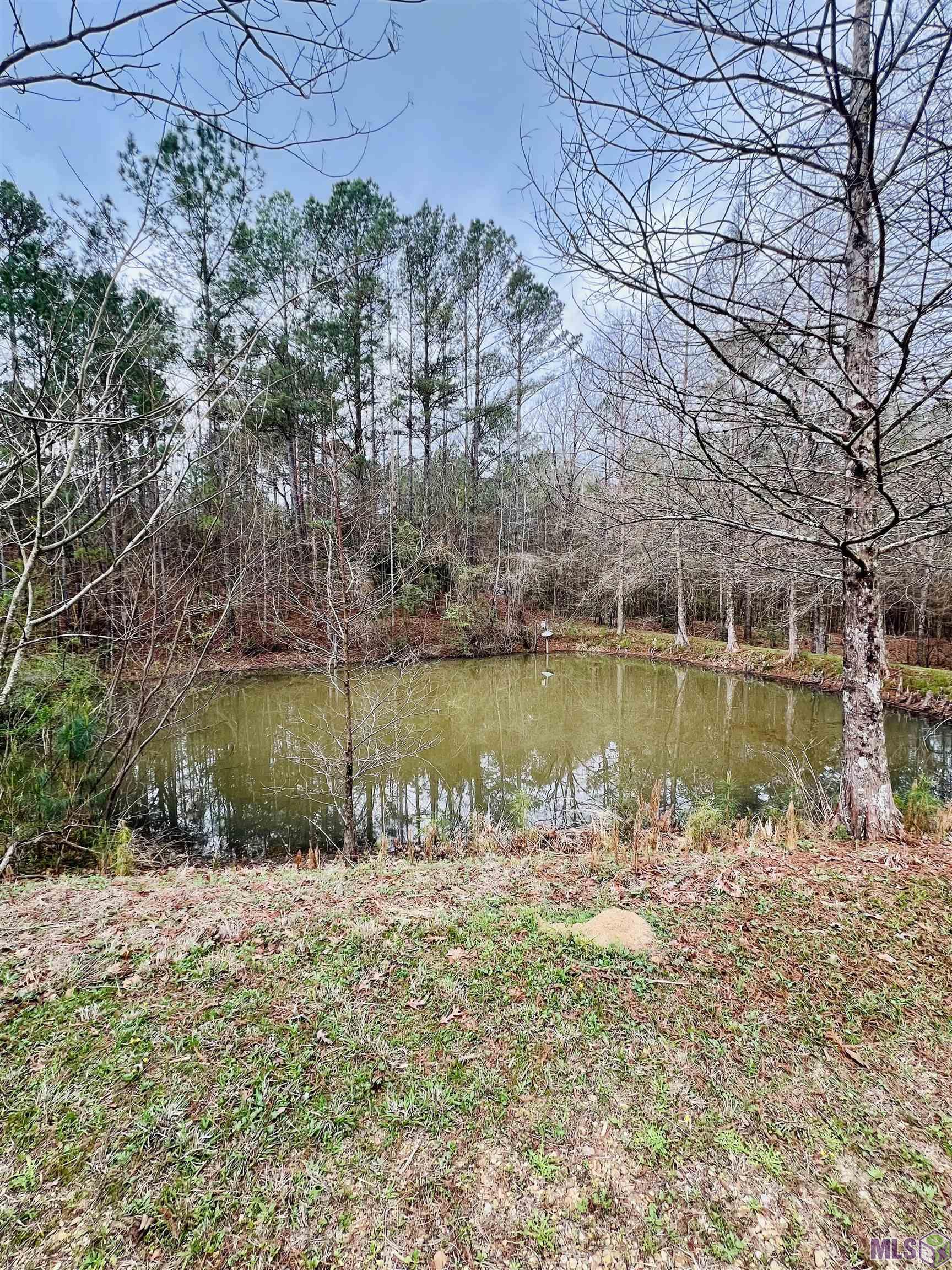 15397 Rogers Road St. Francisville, LA 70775 - Photo 6 of 16