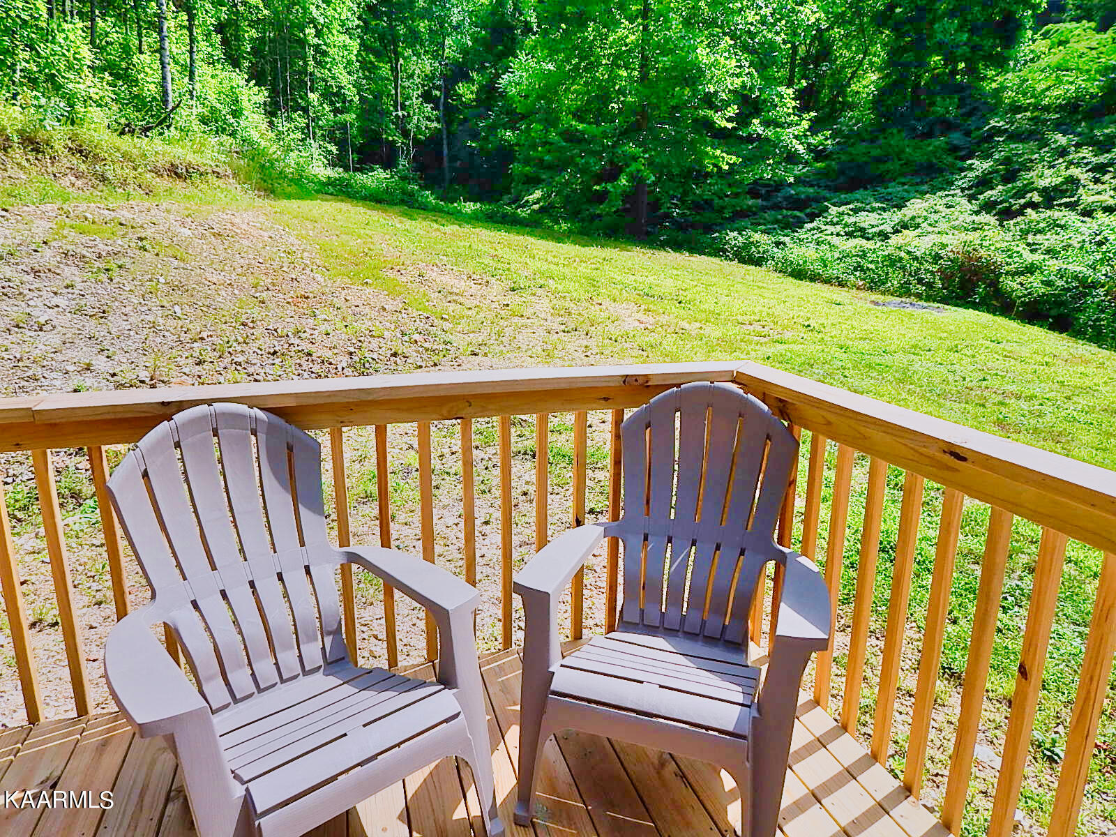 1778 Pleasant Ridge Road La Follette, TN 37766 - Photo 29 of 58 DSCN4419