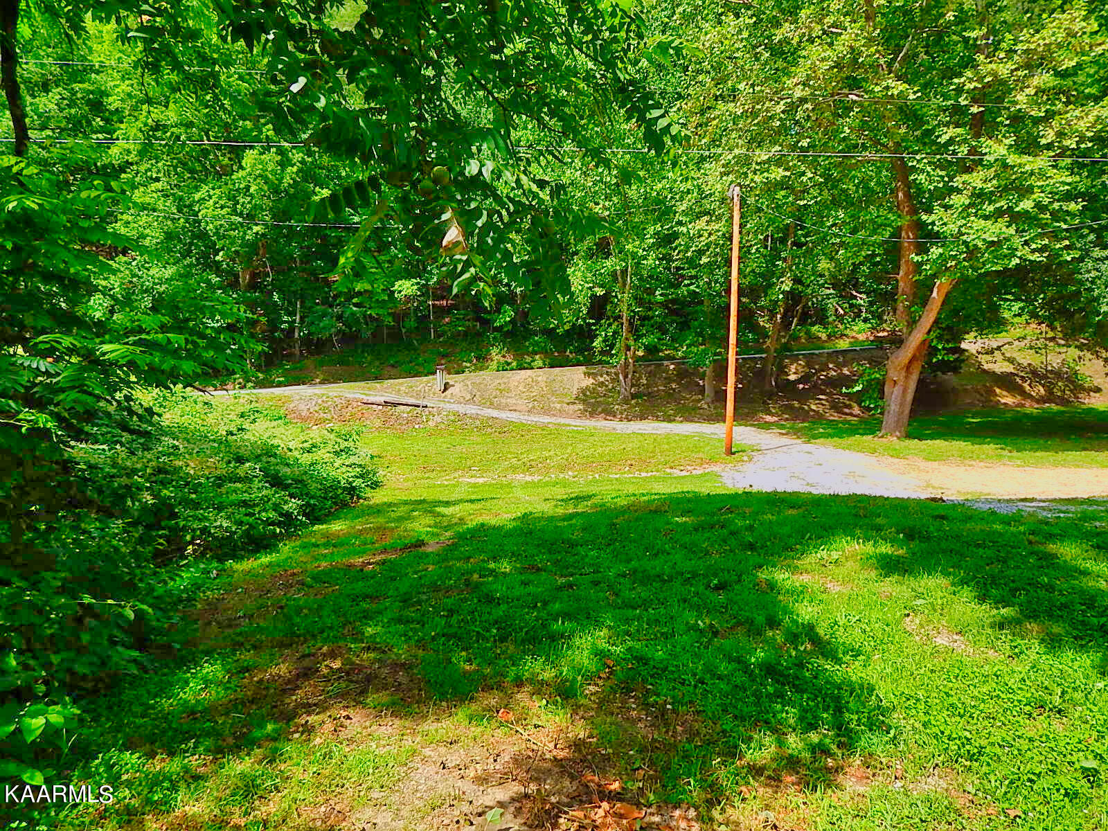 1778 Pleasant Ridge Road La Follette, TN 37766 - Photo 38 of 58 DSCN4425