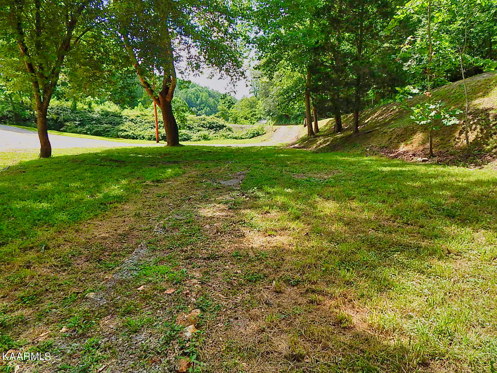 1778 Pleasant Ridge Road La Follette, TN 37766 - Photo 44 of 58 DSCN4434