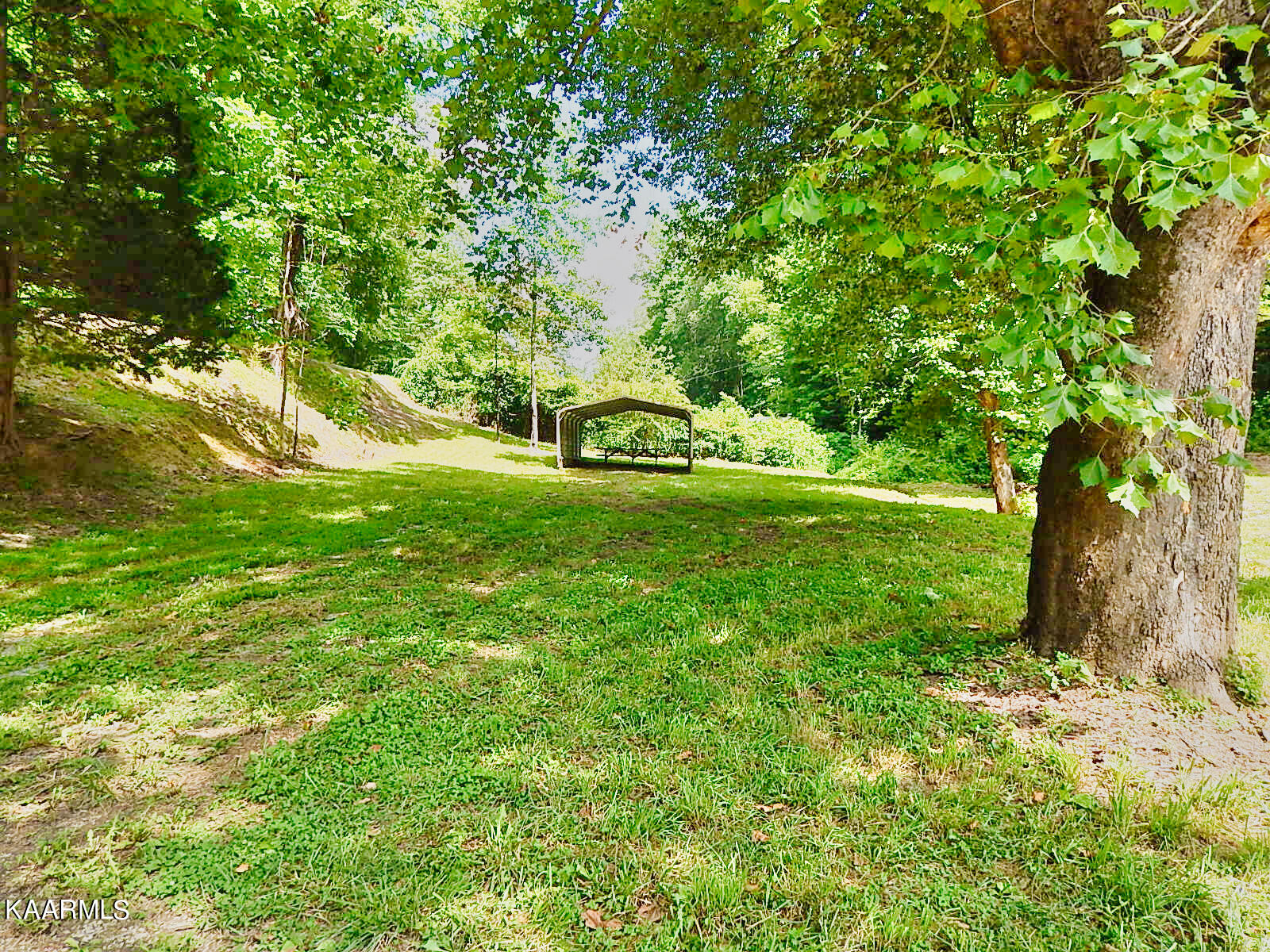 1778 Pleasant Ridge Road La Follette, TN 37766 - Photo 46 of 58 DSCN4436