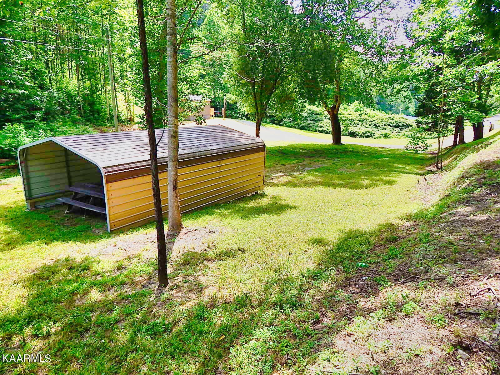 1778 Pleasant Ridge Road La Follette, TN 37766 - Photo 48 of 58 DSCN4439