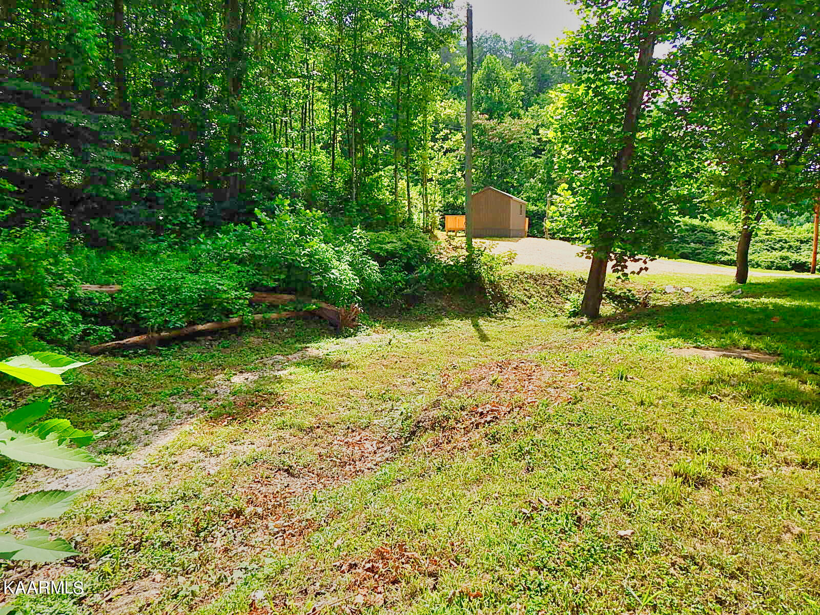 1778 Pleasant Ridge Road La Follette, TN 37766 - Photo 50 of 58 DSCN4442