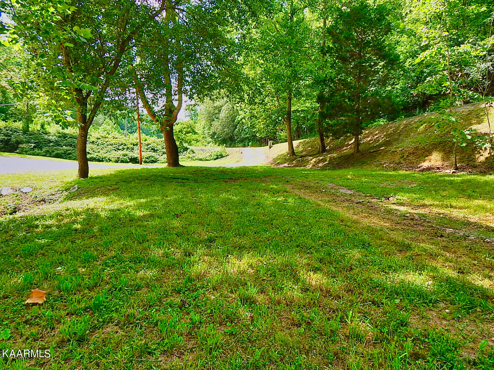 1778 Pleasant Ridge Road La Follette, TN 37766 - Photo 51 of 58 DSCN4443
