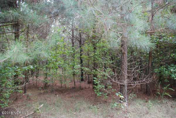 6562 Huntsboro Road Oxford, NC 27565 - Photo 19 of 72 small photos018
