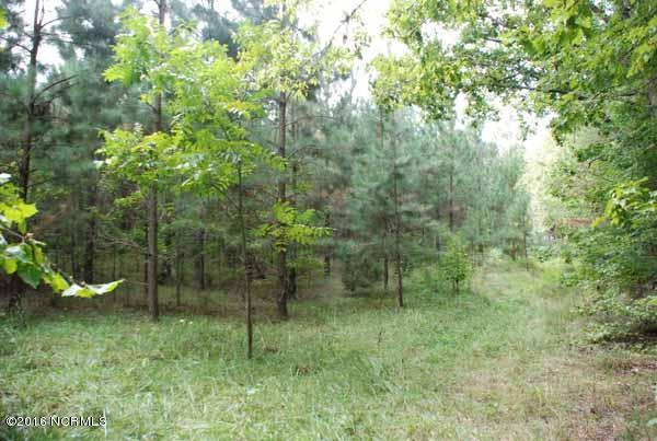 6562 Huntsboro Road Oxford, NC 27565 - Photo 21 of 72 small photos020