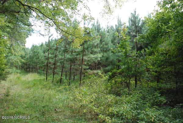 6562 Huntsboro Road Oxford, NC 27565 - Photo 22 of 72 small photos021