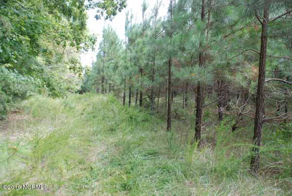 6562 Huntsboro Road Oxford, NC 27565 - Photo 24 of 72 small photos023