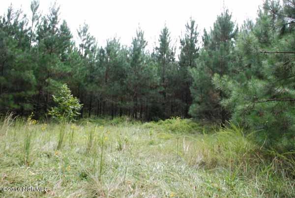 6562 Huntsboro Road Oxford, NC 27565 - Photo 25 of 72 small photos024