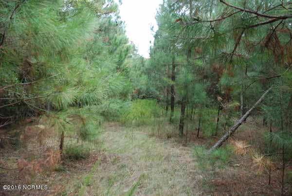 6562 Huntsboro Road Oxford, NC 27565 - Photo 28 of 72 small photos027