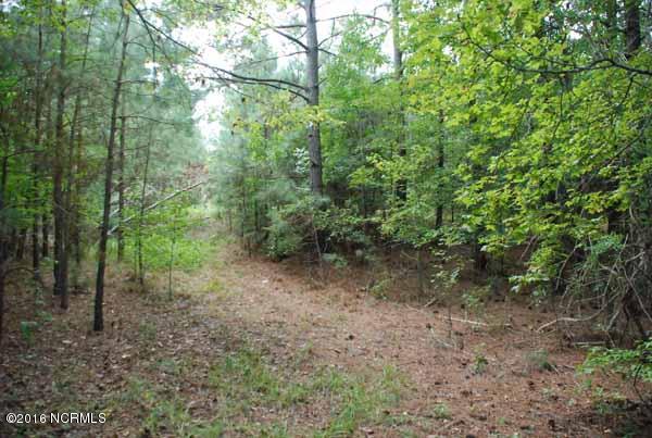 6562 Huntsboro Road Oxford, NC 27565 - Photo 34 of 72 small photos033