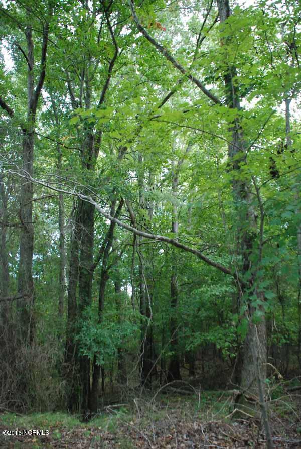 6562 Huntsboro Road Oxford, NC 27565 - Photo 36 of 72 small photos035