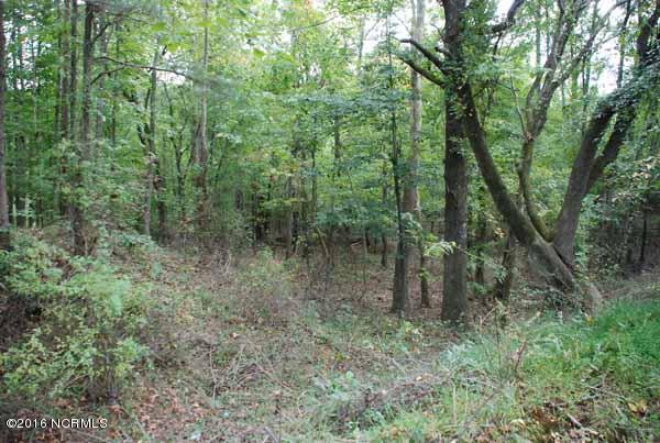 6562 Huntsboro Road Oxford, NC 27565 - Photo 39 of 72 small photos038